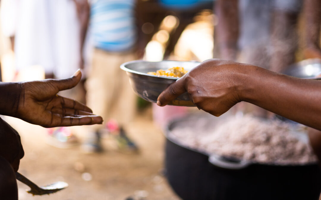 Breaking the Cycle of Hunger: Addressing the Root Causes of Food Insecurity